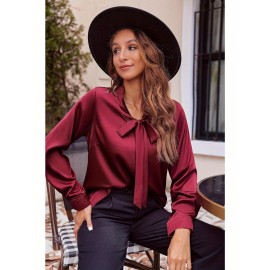 Women's Satin Silk Long Sleeve Blouse with Bow Tie Neck Office Work Wear Elegant Tops Women's Satin Silk Long Sleeve Blouse with Bow Tie Neck Office Work Wear Elegant Tops